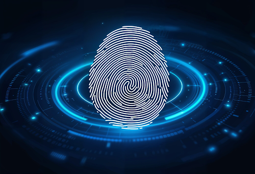 device fingerprinting